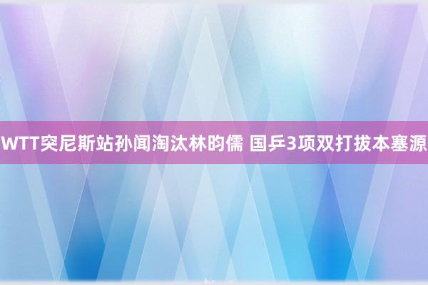 WTT突尼斯站孙闻淘汰林昀儒 国乒3项双打拔本塞源