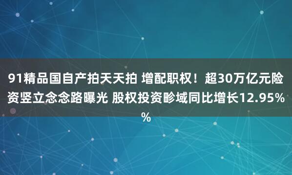 91精品国自产拍天天拍 增配职权!超30万亿元险资竖立念念路曝光 股权投资畛域同比增长12.95%